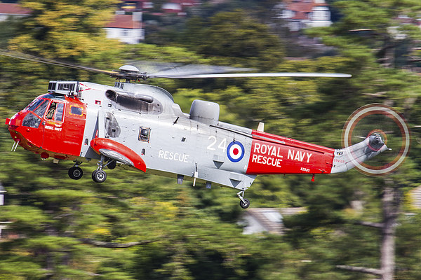 Royal Navy Sea King rescue helicopter Picture Board by Oxon Images