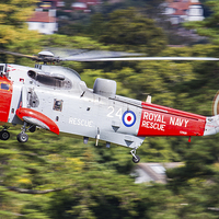 Buy canvas prints of Royal Navy Sea King rescue helicopter by Oxon Images