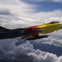 Buy canvas prints of Miss Demeanour in flight by Oxon Images