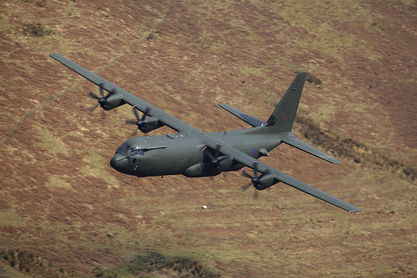  C130 Hercules Picture Board by Oxon Images