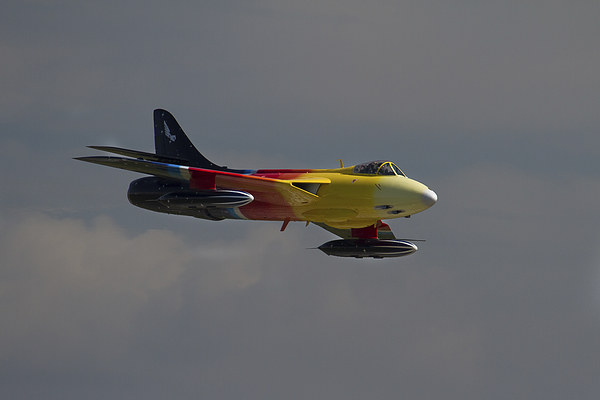  Miss Demeanour at Yeovilton Picture Board by Oxon Images