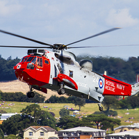 Buy canvas prints of Royal Navy Sea King helicopter by Oxon Images