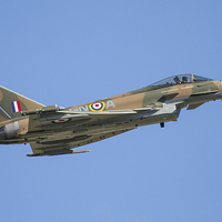 Buy canvas prints of Battle of Britain Typhoon 2 by Oxon Images