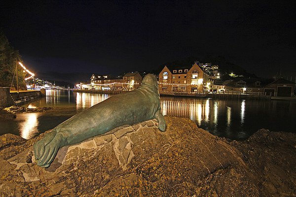 Nelson the seal at Looe Picture Board by Oxon Images