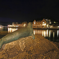 Buy canvas prints of Nelson the seal at Looe by Oxon Images