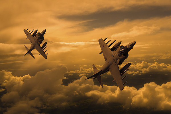  Harriers Sunset High  Picture Board by Oxon Images