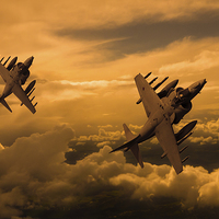 Buy canvas prints of  Harriers Sunset High  by Oxon Images