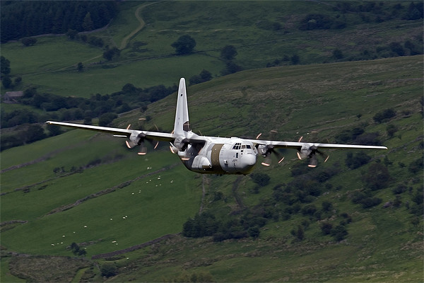C130 Hercules 888 Picture Board by Oxon Images