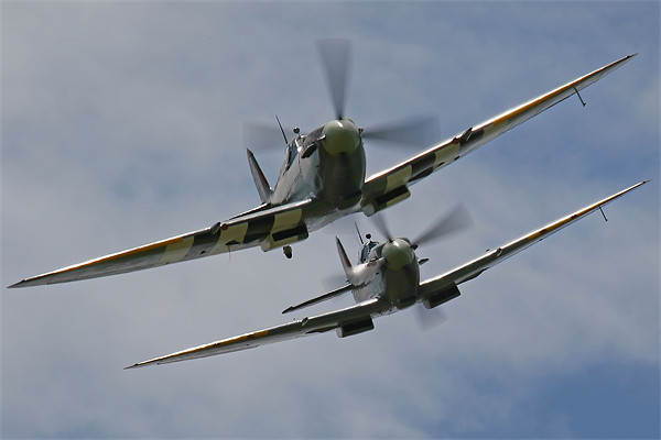 Two Spitfires in formation Picture Board by Oxon Images