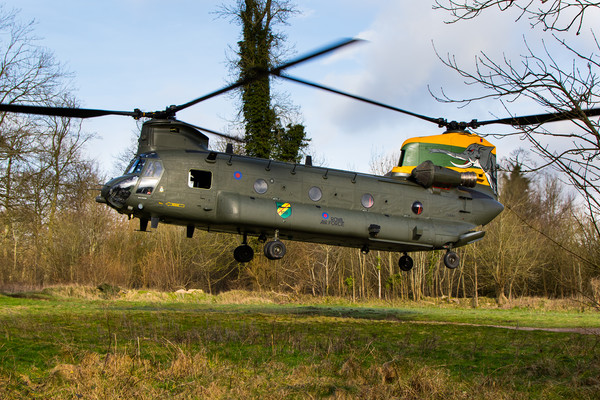 27 Squadron Chinook Nellie Picture Board by Oxon Images