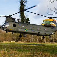 Buy canvas prints of 27 Squadron Chinook Nellie by Oxon Images