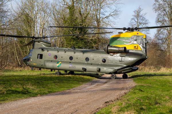 Special tail Chinook Picture Board by Oxon Images