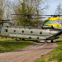 Buy canvas prints of Special tail Chinook by Oxon Images