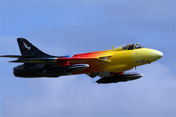 Miss Demeanour Picture Board by Oxon Images
