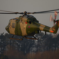 Buy canvas prints of Army Air corps Lynx AH7 by Oxon Images