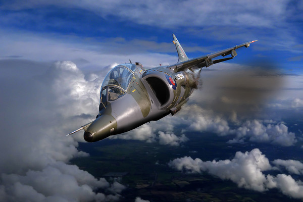 Harrier flight Picture Board by Oxon Images