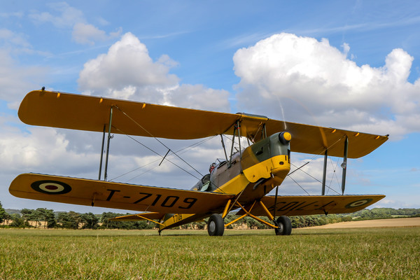 Tiger Moth at Chiltern Aeropark Picture Board by Oxon Images
