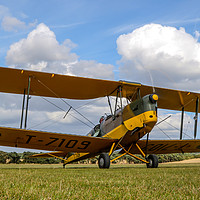 Buy canvas prints of Tiger Moth at Chiltern Aeropark by Oxon Images