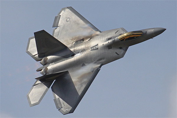 F22A Raptor Picture Board by Oxon Images