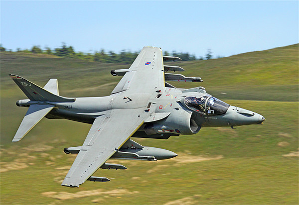 Harrier Jump Jet Cad West Picture Board by Oxon Images