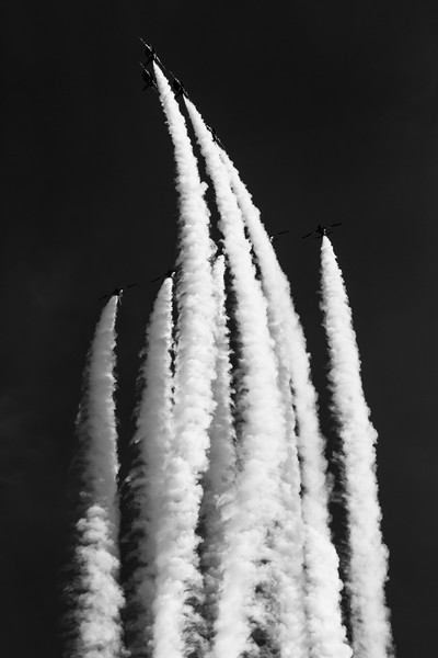 Red Arrows in Black and White Picture Board by Oxon Images