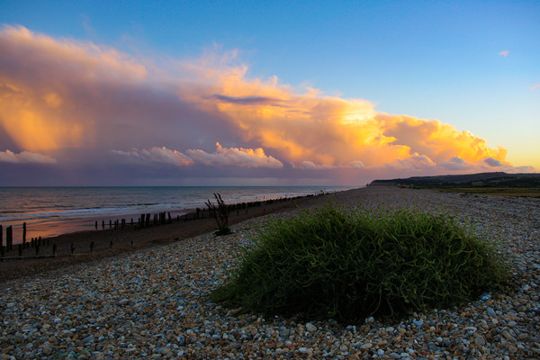 Storm clouds at Winchelsea Beach Picture Board by Oxon Images