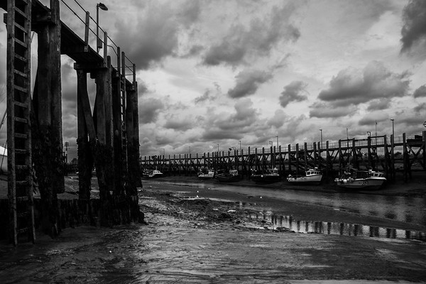 Rye Harbour East Sussex Picture Board by Oxon Images