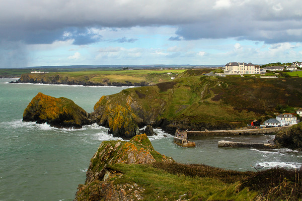  Mullion Cove from the clifftop Picture Board by Oxon Images