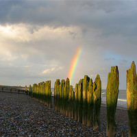 Buy canvas prints of Winchelsea Beach groynes Rye by Oxon Images
