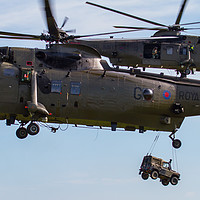 Buy canvas prints of Royal Navy Sea King Helicopters by Oxon Images