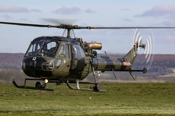 Westland Scout on Salisbury Plain Picture Board by Oxon Images
