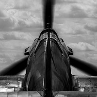 Buy canvas prints of Hawker Hurricane Black and White by Oxon Images