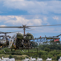 Buy canvas prints of Westland Scout and Sioux Helicopters by Oxon Images