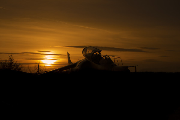 Harrier at sunset 2 Picture Board by Oxon Images