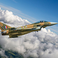 Buy canvas prints of Eurofighter Typhoon GNA Gina by Oxon Images