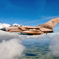 Buy canvas prints of Desert Storm Tornado GR4 Pinky by Oxon Images