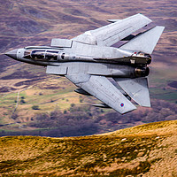 Buy canvas prints of 41 Squadron TES Tornado GR4 by Oxon Images