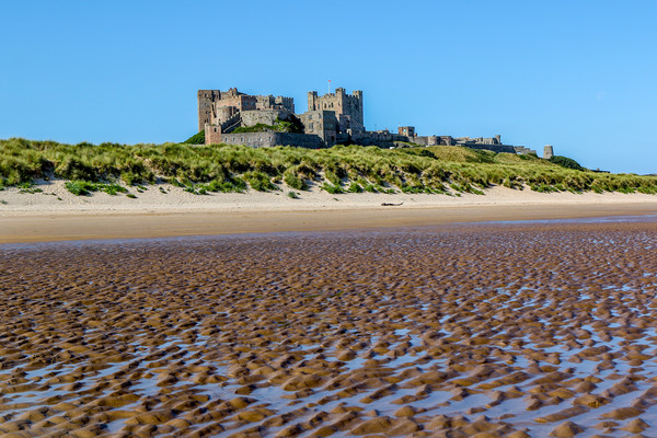 Bamburgh Castle from the Beach Picture Board by Oxon Images