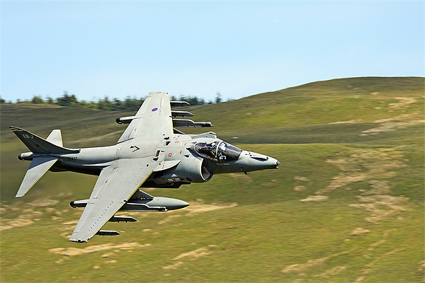 BAE Systems Harrier GR9 Jump Jet ZD437 Picture Board by Oxon Images