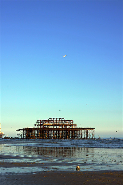 Brighton west pier 2 Picture Board by Oxon Images