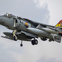 Buy canvas prints of Spanish Harrier Jump Jet by Oxon Images