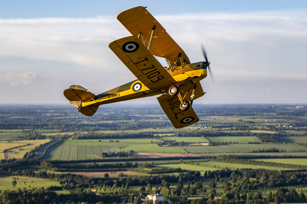 Tiger Moth break Picture Board by Oxon Images