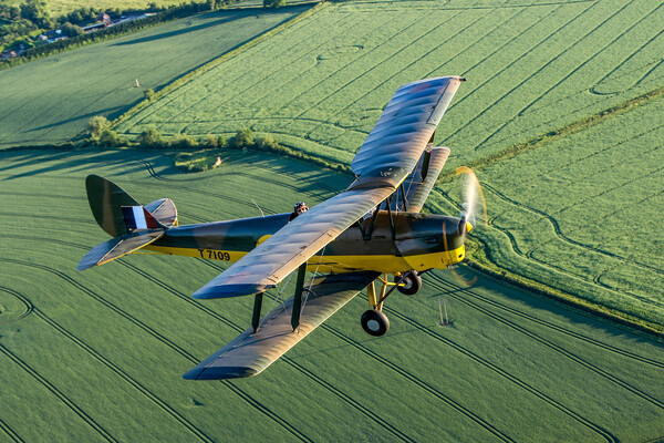 Tiger Moth Air to Air Picture Board by Oxon Images