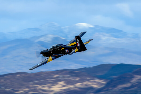 Shorts Tucano At Low Level Picture Board by Oxon Images