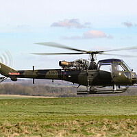 Buy canvas prints of British Army Westland Scout by Oxon Images