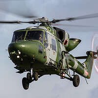 Buy canvas prints of Westland Lynx AH9A by Oxon Images
