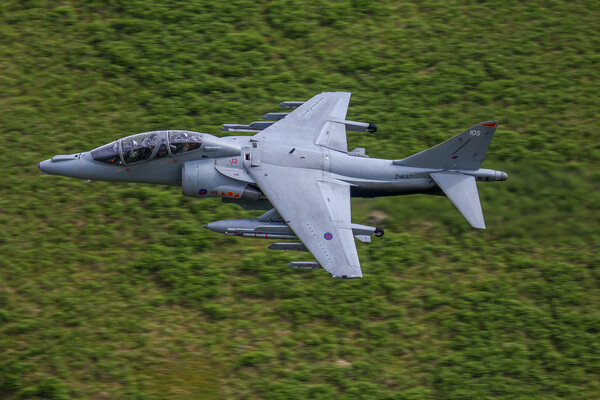 British Aerospace Harrier T12 Picture Board by Oxon Images