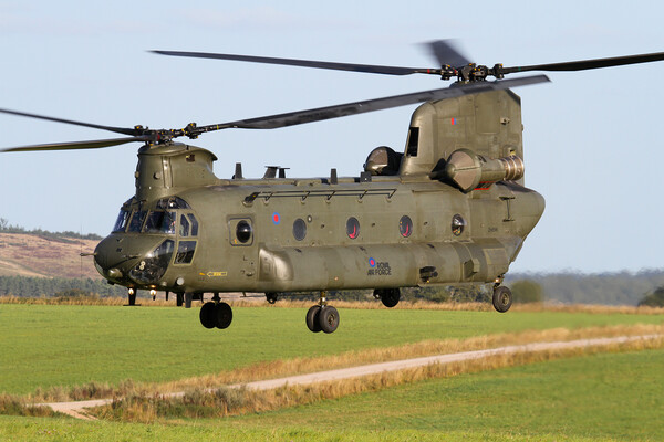 RAF Chinook on Salisbury Plain Picture Board by Oxon Images
