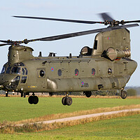 Buy canvas prints of RAF Chinook on Salisbury Plain by Oxon Images