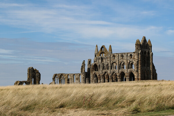 Whitby Abbey Picture Board by Oxon Images